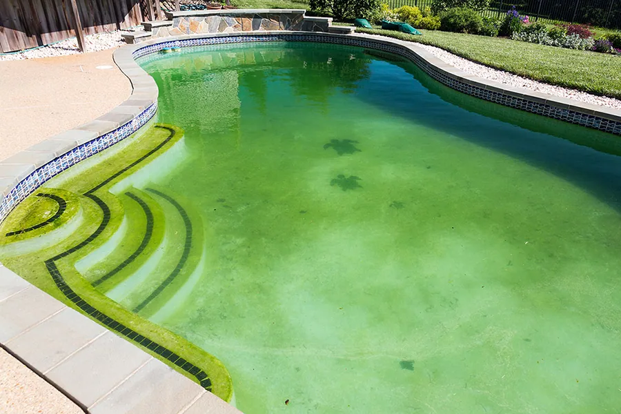 Grünen Pool wieder klar bekommen